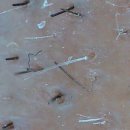 원형한의원 이미지