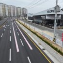 황금빛 가로수길 이미지