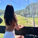 창도목장 이미지