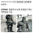 나만 애 동물병원 이미지