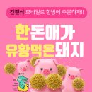 유황돼지 이미지