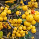 경기둘레길 가평21코스 이미지