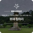 장암 장하리사지 | 부여 여행 필수 코스! 백제의 역사를 한눈에 살펴볼 수 있는 부여 장하리 나들이!
