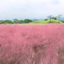 경주조선온천호텔 이미지