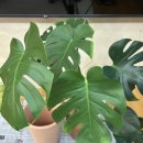 세븐일레븐 범천동일점 이미지