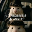 우리돈네 - 안양시 동안구 인덕원로24번길 28 | 우리돈네
