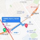 홍닭백닭
