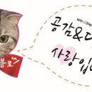 오거리막창&뒷고기