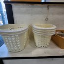 맛있개 먹었냥 | 김해강아지간식 "맛있개 먹었냥" 수제간식후기