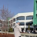 (주) 진씨커 영업소 | 남자 명품 경량패딩 추천 :: 파라점퍼스 니벡 PARAJUMPERS NIVEK 후기 by azk1