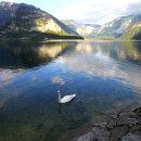 할슈타트 이미지