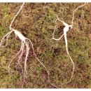 학선농장 이미지