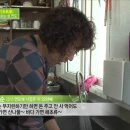 해녀민텔 이미지