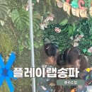 오감만족 클레이 | 송파 아기 체험 플레이랩송파 | 분리수업 첫 도전 후기
