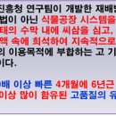 여주-0303 Daum카페