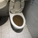 춘천싱크대막힘변기막힘 이미지