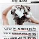 시크릿플라워 이미지