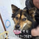 삼화4길 6-1 이미지