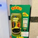 제주도야지 파주운정점 이미지