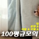 백설 애견샵 이미지