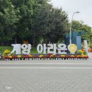 31 | [인천] 가들밤에 '빛', 가을 낮엔 '꽃' 인천 계양구 가을 축제 나들이 후기