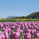 울산지하수