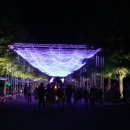 물꽃정원 이미지