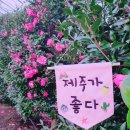 사랑농원 이미지