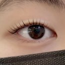 보리네뜰 | 건대속눈썹펌 후기｜무쌍전문컬링 보리네눈썹가게