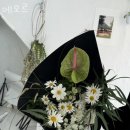 에오르