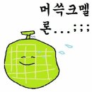 포커스짐 | 메디큐브 하이포커스샷 플러스 내돈내산 ft. 사용법 부작용..