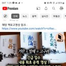 비류.부리.부이.부여.후이.훼.왜..같은 어원..비류백제는 왜...라고 봅니다. 이미지