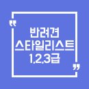 반려견스타일리스트 자격취득과정-기초 | 반려견스타일리스트 자격증 취득 가이드