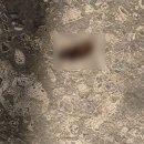 컴포즈커피시흥은계호수공원점