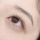 엘도 | 탄방동 대전속눈썹펌 c컬펌에 블랙틴팅 ‘엘도뷰티’ 후기