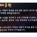 장자호수로 이미지