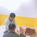 공도건강원
