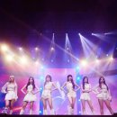 월드엔터테인먼트 이미지