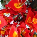 미광목장 이미지