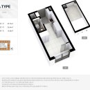 더 그레이스 모델 이미지