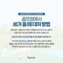 돌고래게임장 이미지