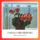 스마트싱스 / 플랜트케어 / 사용방법 후기 및 기록 일지 - 1