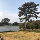 모노클제주 이미지