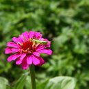 저산목장 이미지