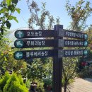 킹콩이농장