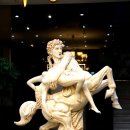 건강과 성 박물관 이미지