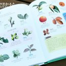 동물식물 자연과학교실 네이버블로그