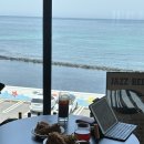 퐁낭아래 1978 이미지