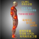알뷰티샵