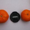 빈이네농장 이미지